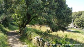 Cuevas del Pindal, Asturias, España