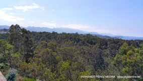 Mirador Del Picu, Camino Fimango Alfaro, Pimiango, Asturias, España