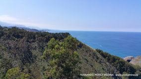Mirador Del Picu, Camino Fimango Alfaro, Pimiango, Asturias, España
