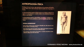 Museo Nacional y Centro de Investigación de Altamira, Santillana del Mar, Cantabria, España