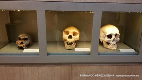Museo Nacional y Centro de Investigación de Altamira, Santillana del Mar, Cantabria, España