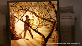 Museo Nacional y Centro de Investigación de Altamira, Santillana del Mar, Cantabria, España
