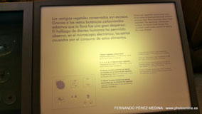 Museo Nacional y Centro de Investigación de Altamira, Santillana del Mar, Cantabria, España