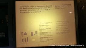 Museo Nacional y Centro de Investigación de Altamira, Santillana del Mar, Cantabria, España