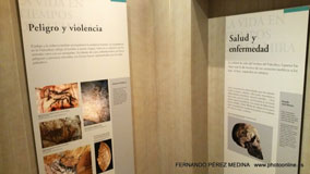 Museo Nacional y Centro de Investigación de Altamira, Santillana del Mar, Cantabria, España