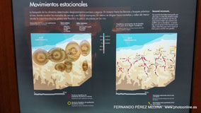 Museo Nacional y Centro de Investigación de Altamira, Santillana del Mar, Cantabria, España