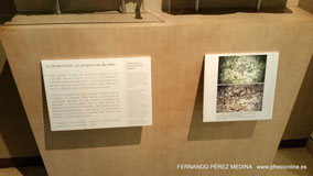 Museo Nacional y Centro de Investigación de Altamira, Santillana del Mar, Cantabria, España