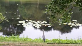 Bremen, Alemania