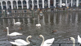 Hamburgo, Alemania