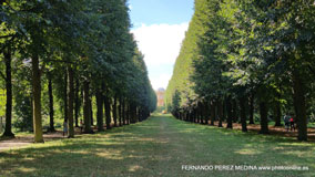 Potsdam, Alemania