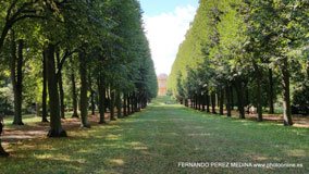 Potsdam, Alemania