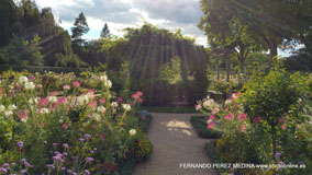 Potsdam, Alemania
