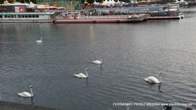 Hamburgo, Alemania
