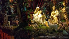 Calle Rey Francisco, 19, 28008 Madrid
